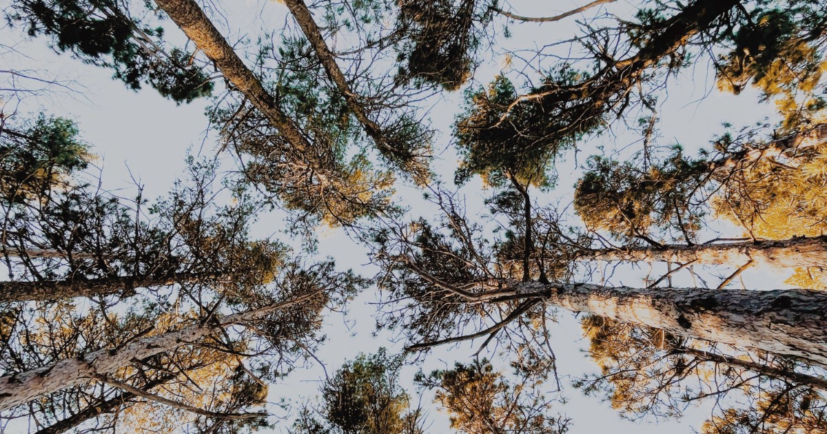 Green Zoned Property In Flint, MI Genesee County